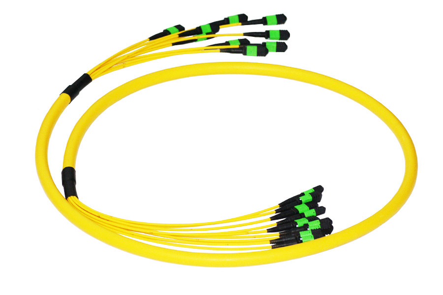 8 x MPO to 8 x MPO Multi-Connector 96 Fibers Singlemode OS2 Fiber Optic Trunk Cable