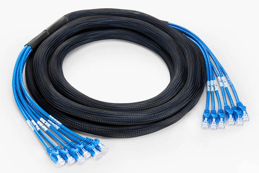 6 Plug to 6 Plug Cat6 Unshielded (UTP) PVC CMR Blue Pre-Terminated Copper Trunk Cable