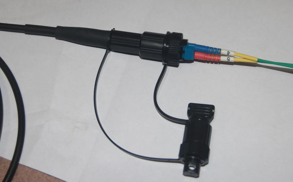FIBER.jpg