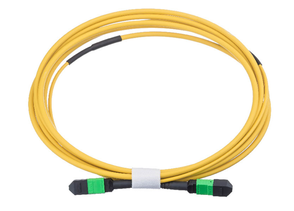 12FO MTP/MPO to MTP/MPO Singlemode Fiber Optical OS2 Trunk Cable