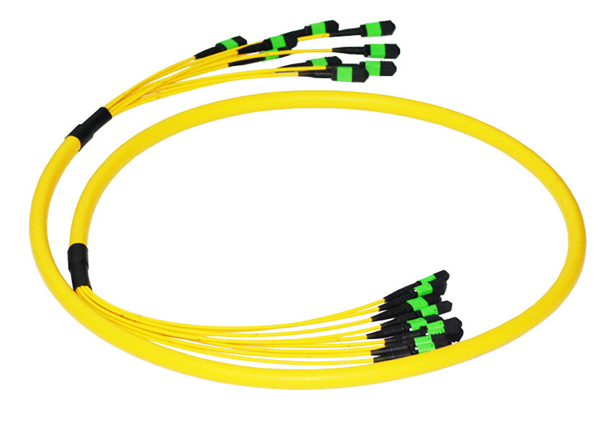 8 x MPO to 8 x MPO Multi-Connector 96 Fibers Singlemode OS2 Fiber Optic Trunk Cable