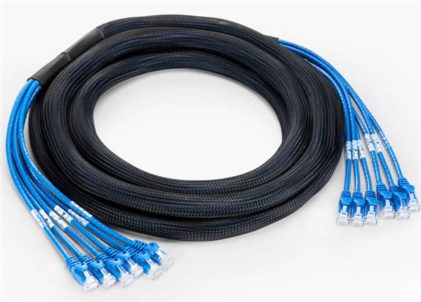 6 Plug to 6 Plug Cat6 Unshielded (UTP) PVC CMR Blue Pre-Terminated Copper Trunk Cable